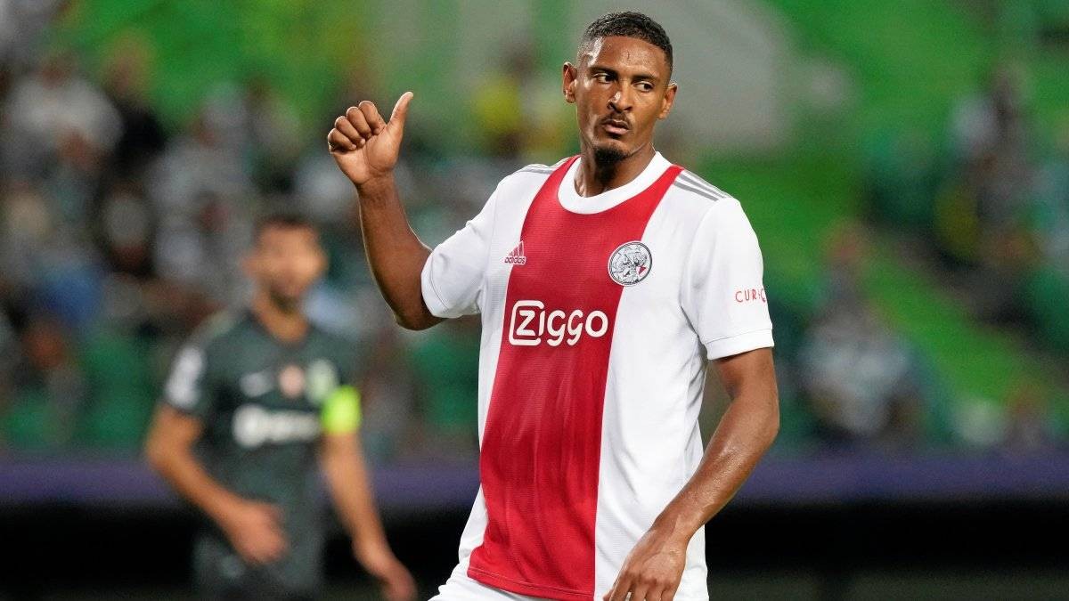 落地生根 落地生根