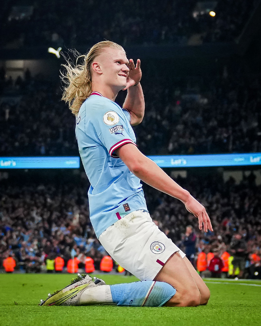 翼卫高位前 翼卫高位前